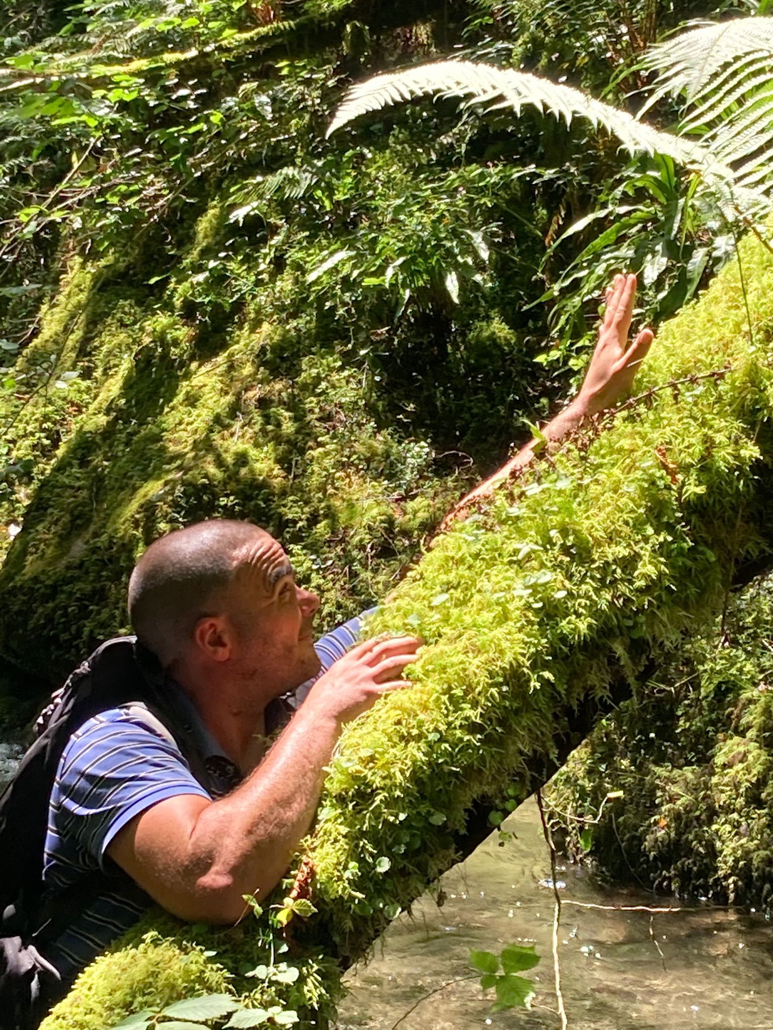 Profil de Nika, 41 ans, Trav à Marnach