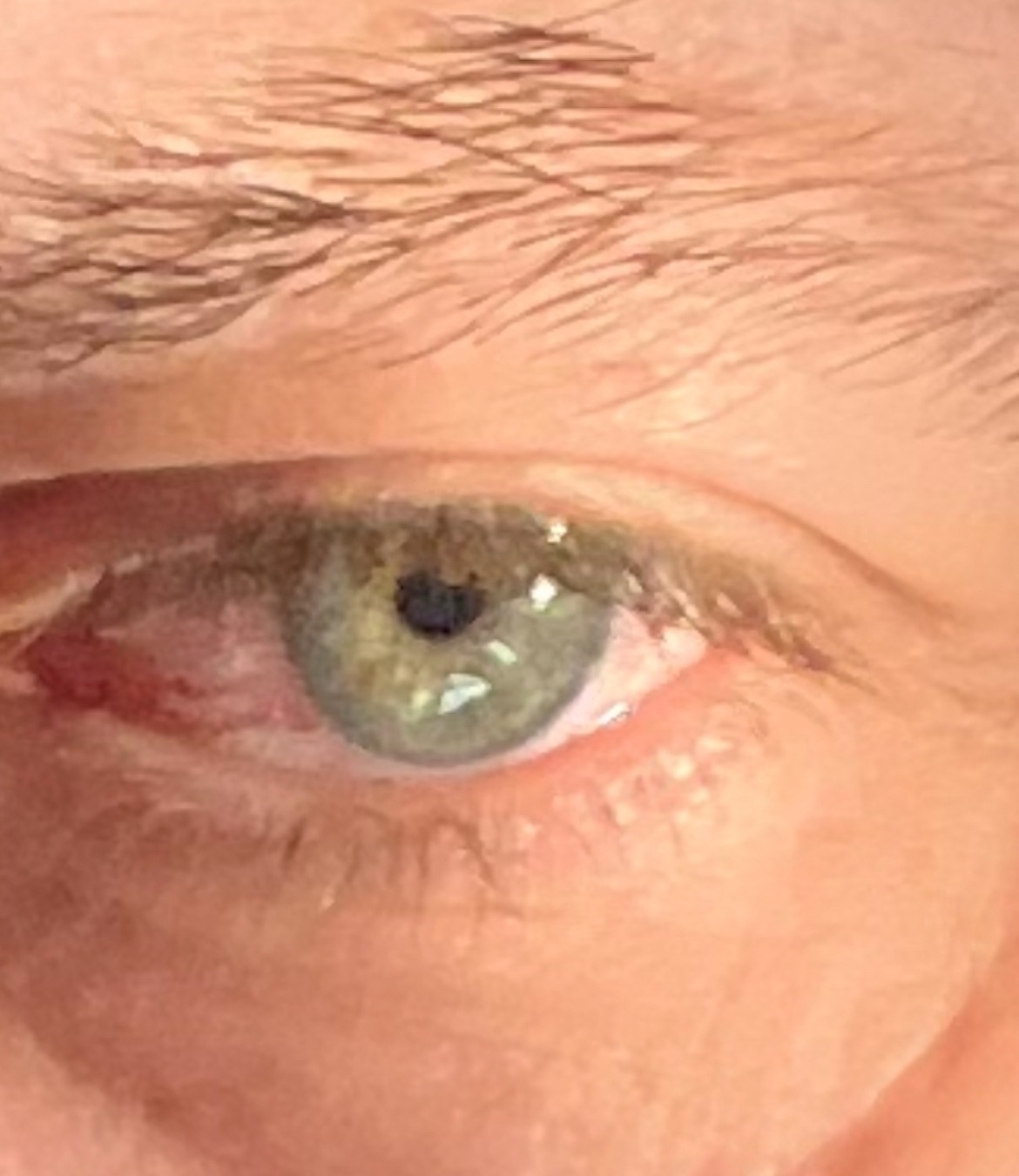 Profil de Riyadh, 49 ans, Trav à Sassel