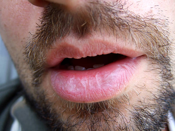 Profil de Jugurtha, 30 ans, Trav à Nachtmanderscheid